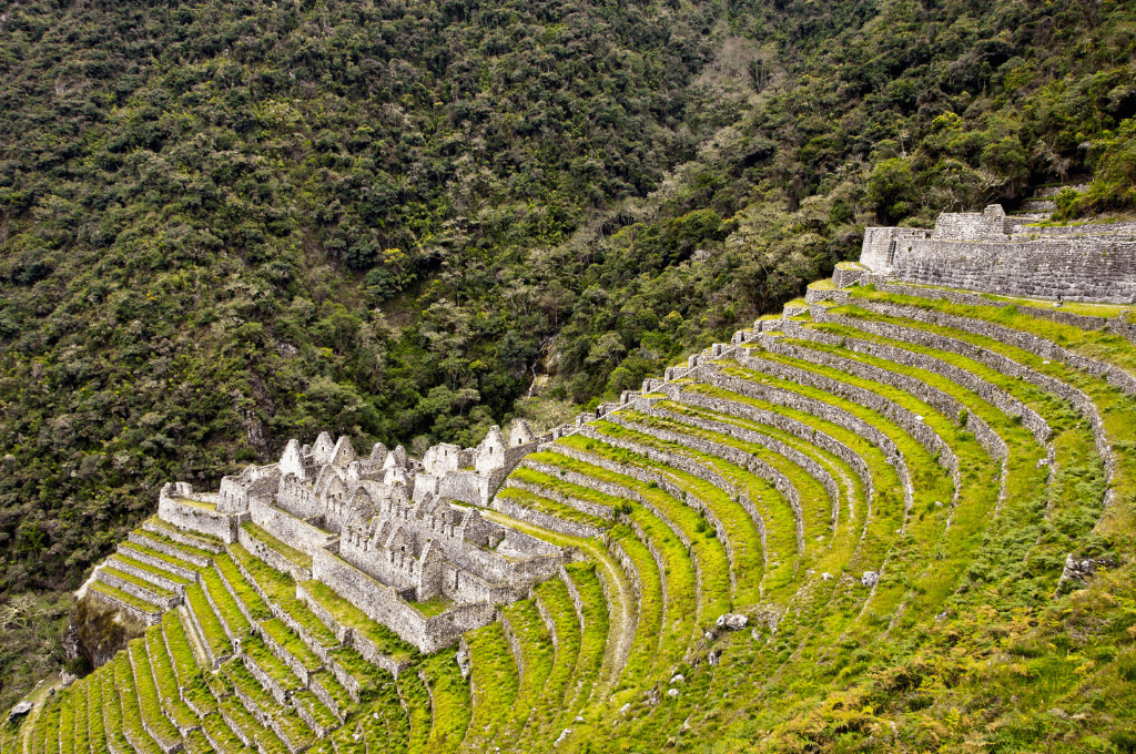 Wiñaywayna: Un tesoro arqueológico en el Camino Inca