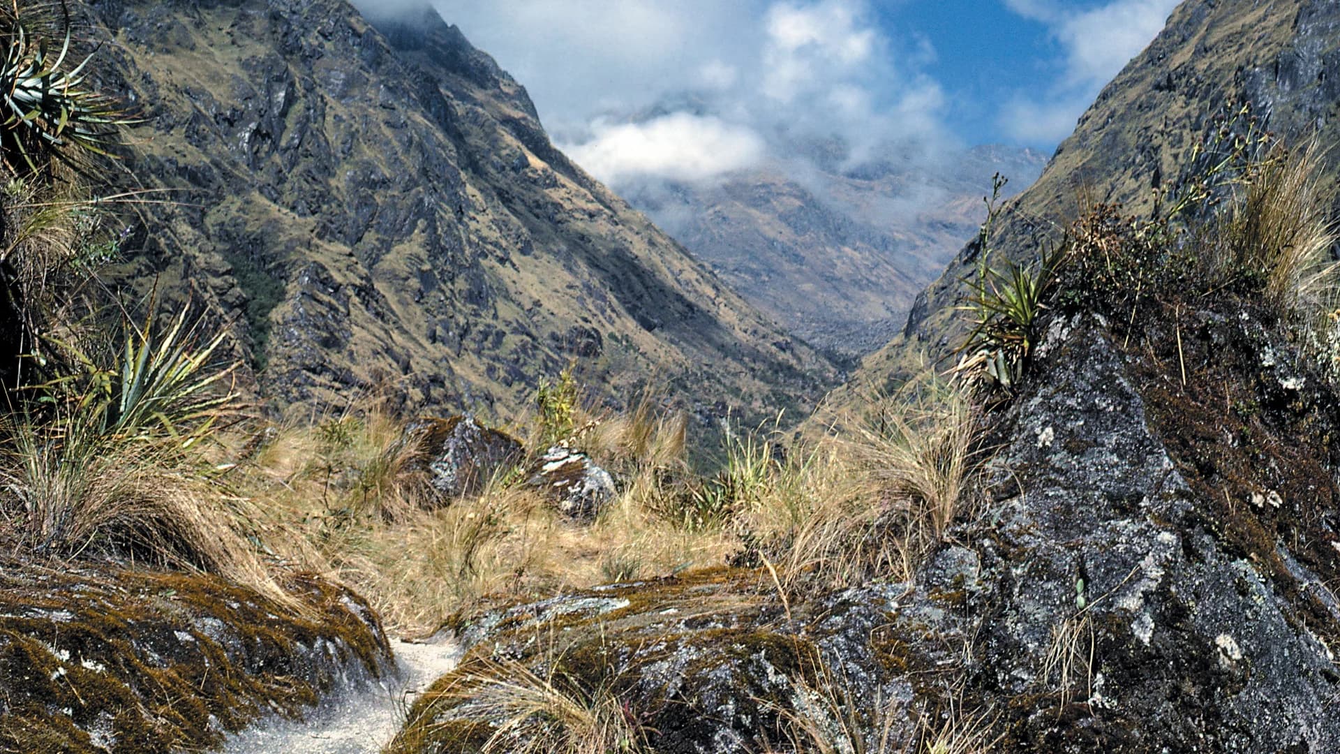 7-day Inca Trail