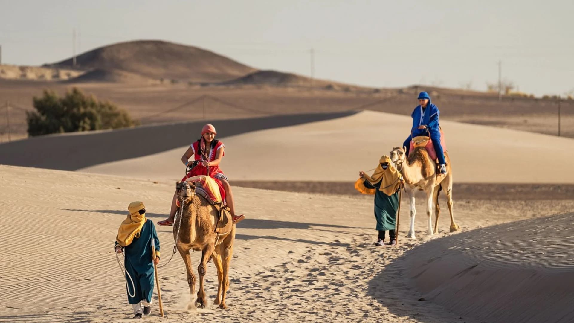 DROMEDARIOS + HUACACHINA + CHINCHA