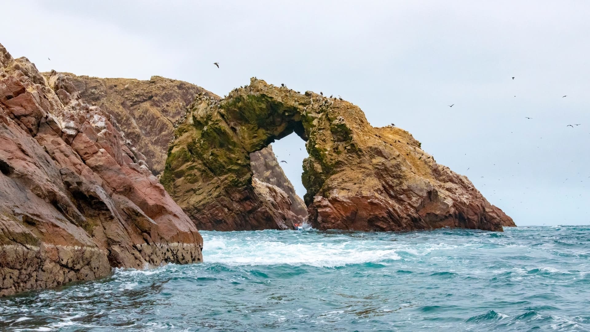 Peru Inca Treasures 9D/8N: Lima, Paracas, Cusco & Machu Picchu