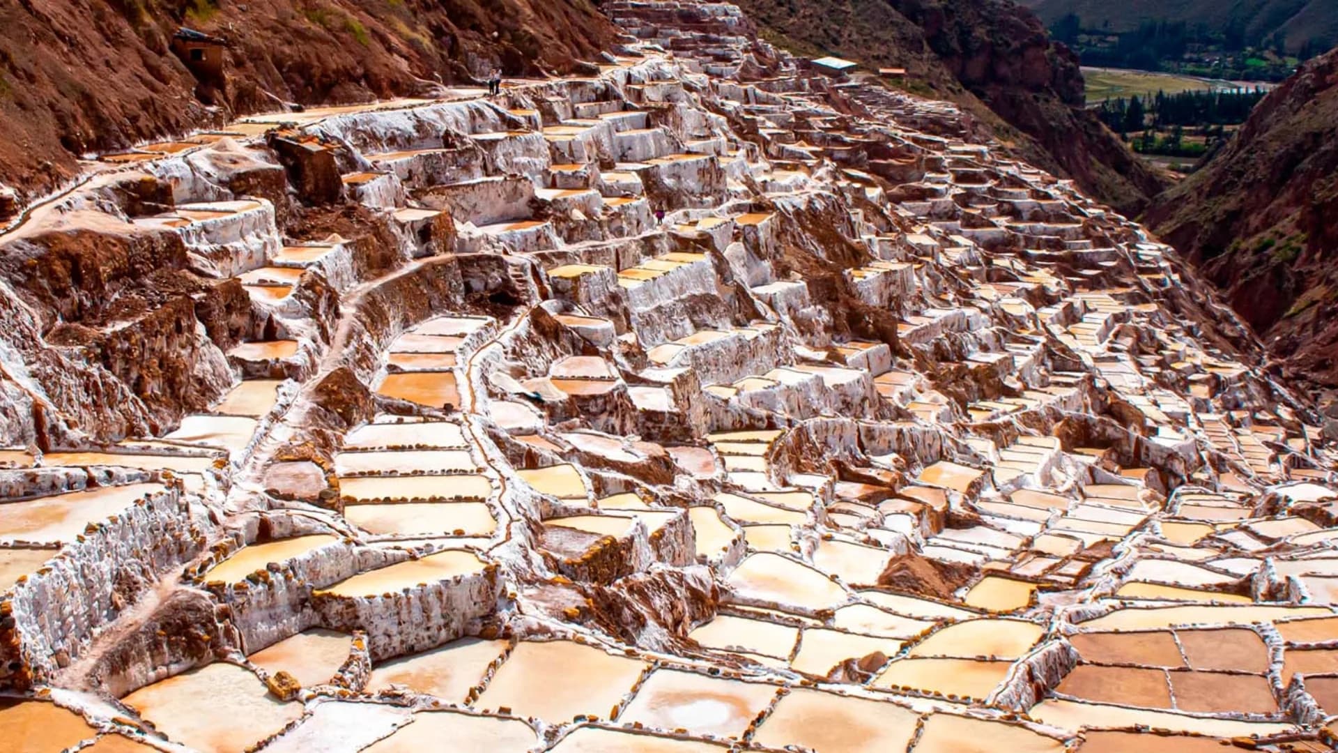 Tour Maras y Moray Medio Día desde Cusco, Perú con guía