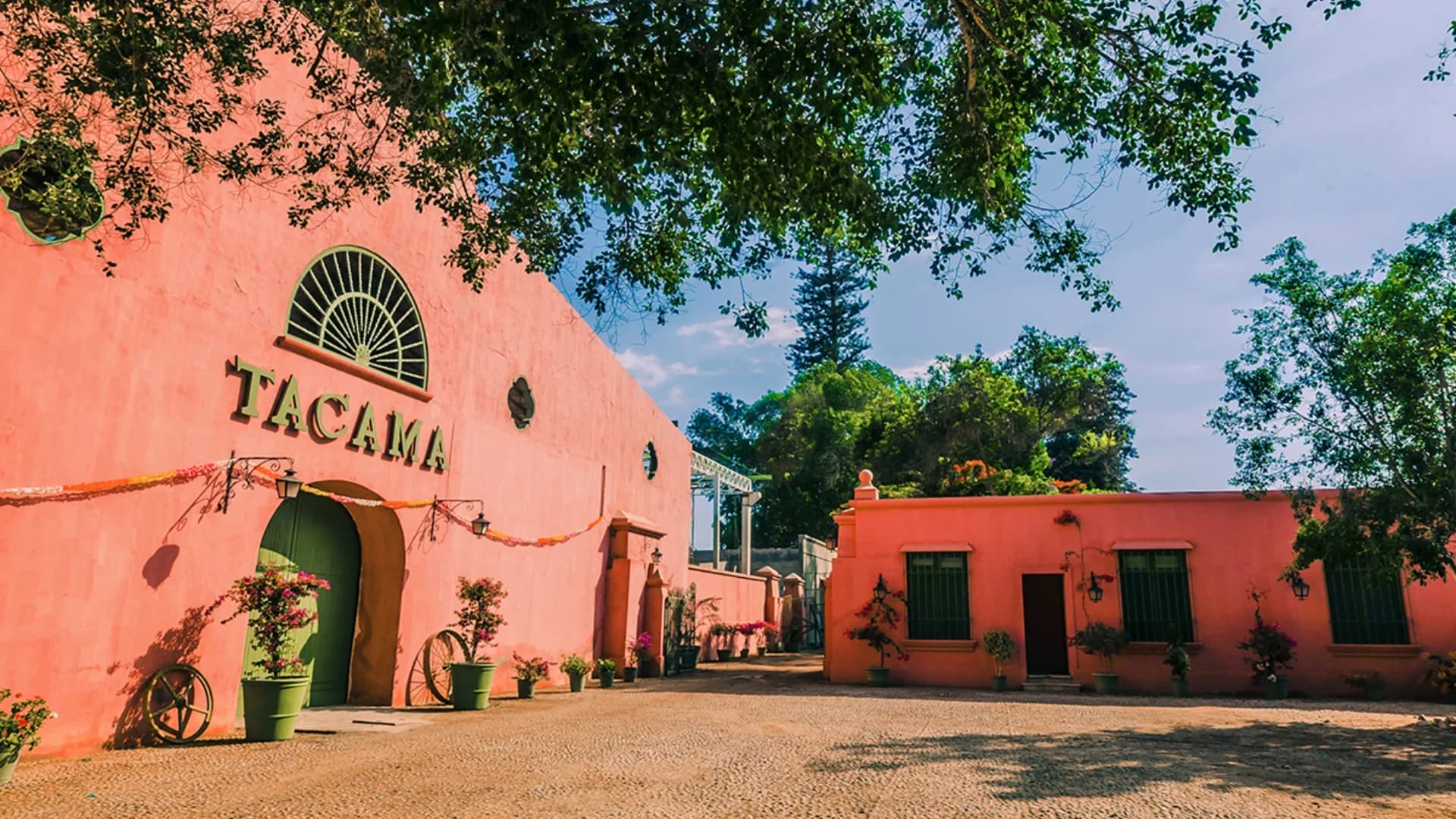 PARACAS + HUACACHINA Y NAZCA
