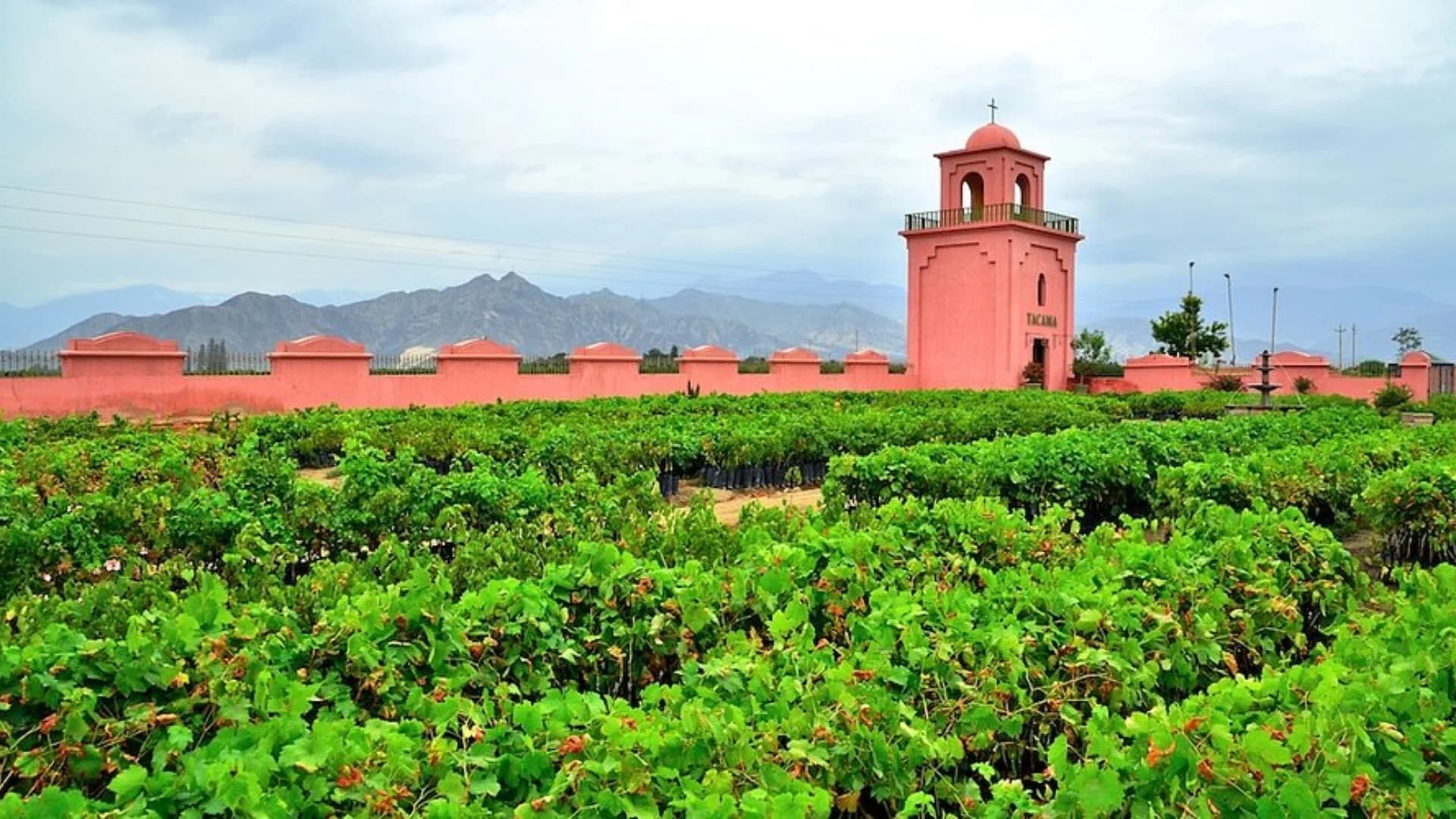 RUTAS DE LOS VINOS Y PISCO
