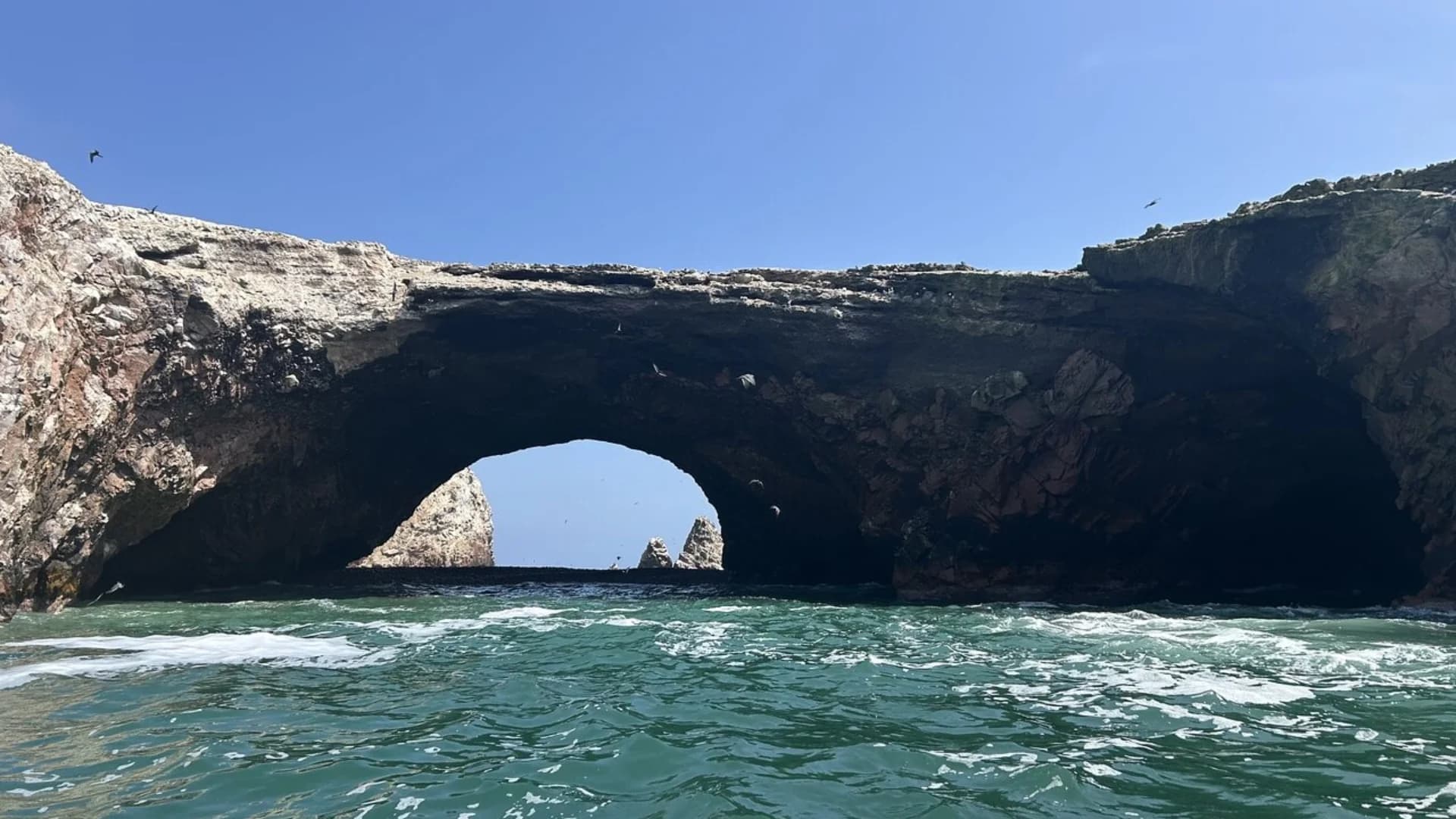 Paracas & Ballestas Islands Full-Day Tour from Lima + Huacachina | 85